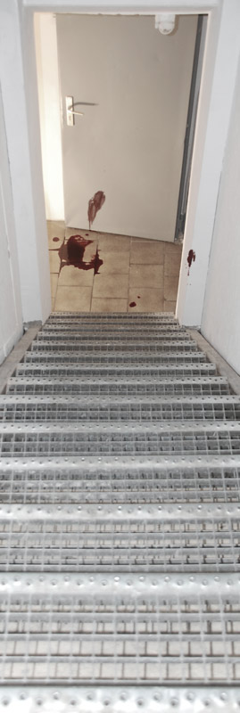 Unfallort Kellertreppe, Blut auf Boden, Tür, Wand. Kleinlogel GmbH, Zentrale Darmstadt
