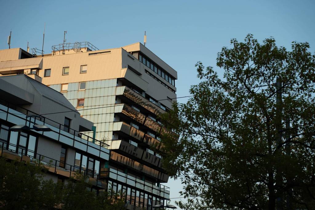 Taubenabwehr in Offenbach am Main