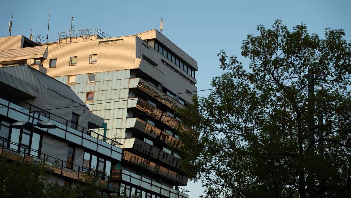 Taubenabwehr in Offenbach am Main