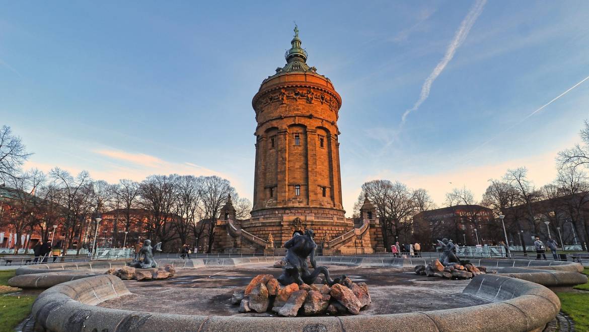 Taubenabwehr in Mannheim